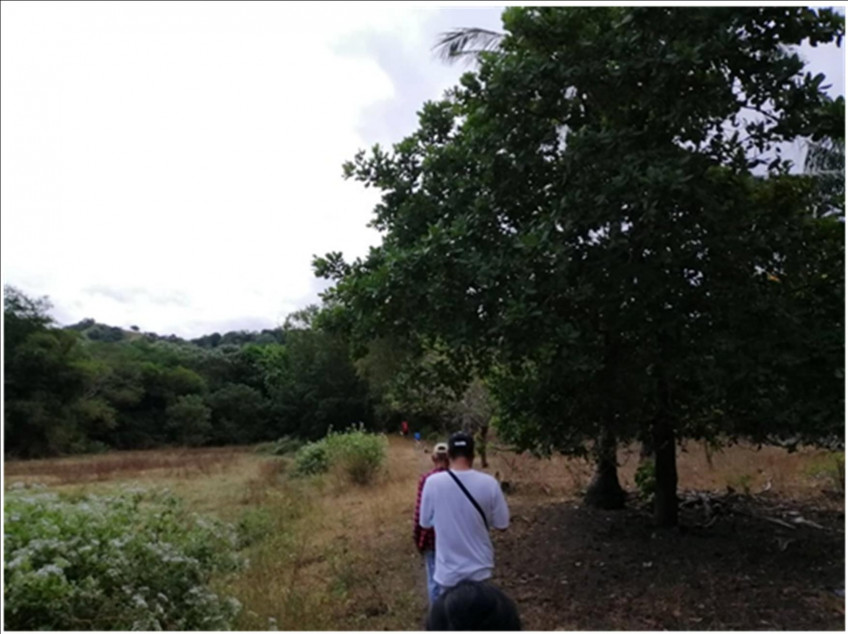 11.156Hectare of Land in Morong, Bataan