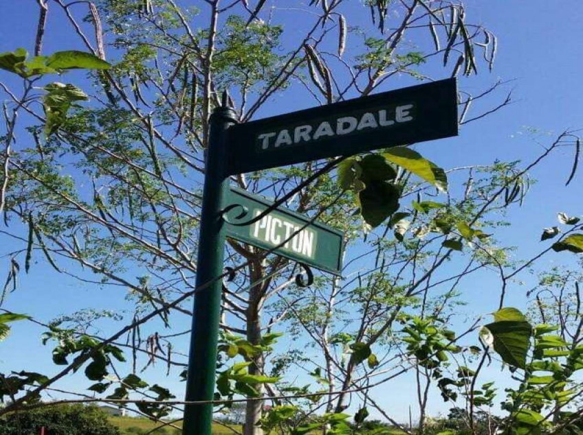 371 SQM Corner Residential Lot Binangonan, Rizal | Greenridge Executive Village