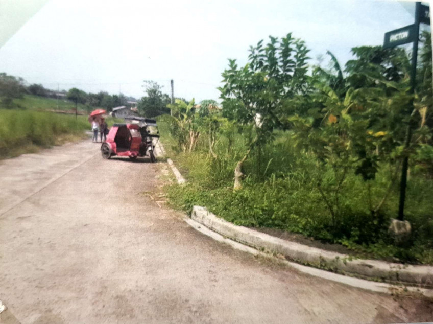 371 SQM Corner Residential Lot Binangonan, Rizal | Greenridge Executive Village