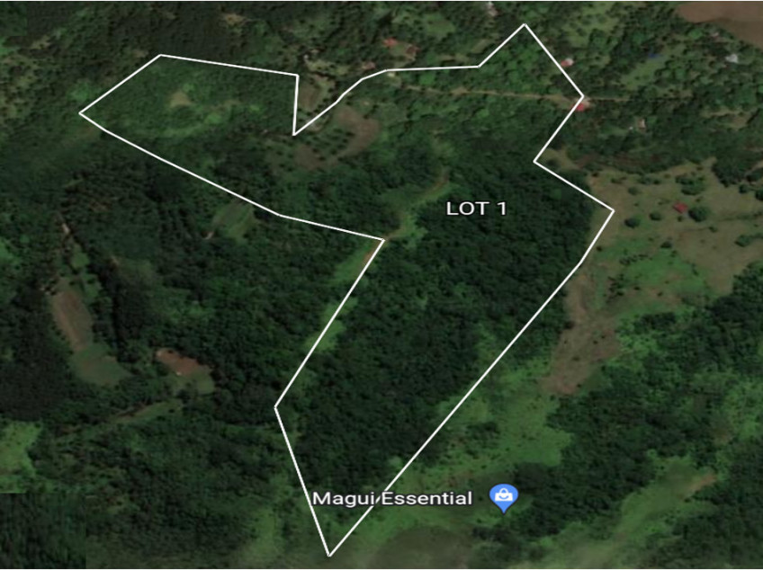 10 Hectare Titled Land in Hinunangan, Southern Leyte