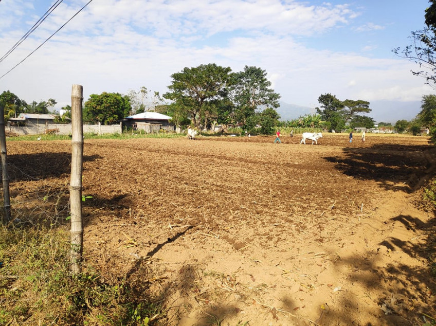 5,274 SQM Titled Land For Sale at La Union - Cheaper Than Others With Complete Clean Papers