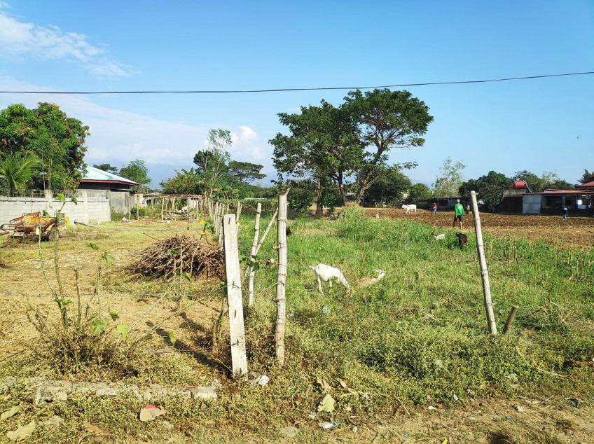 5,274 SQM Titled Land For Sale at La Union - Cheaper Than Others With Complete Clean Papers