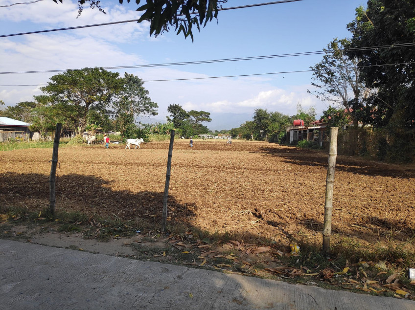 5,274 SQM Titled Land For Sale at La Union - Cheaper Than Others With Complete Clean Papers