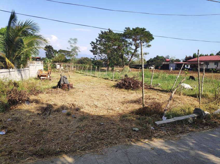 5,274 SQM Titled Land For Sale at La Union - Cheaper Than Others With Complete Clean Papers