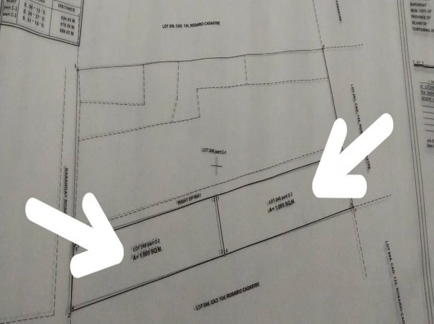 5,274 SQM Titled Land For Sale at La Union - Cheaper Than Others With Complete Clean Papers