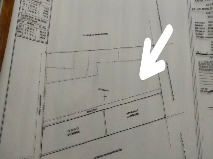 5,274 SQM Titled Land For Sale at La Union - Cheaper Than Others With Complete Clean Papers