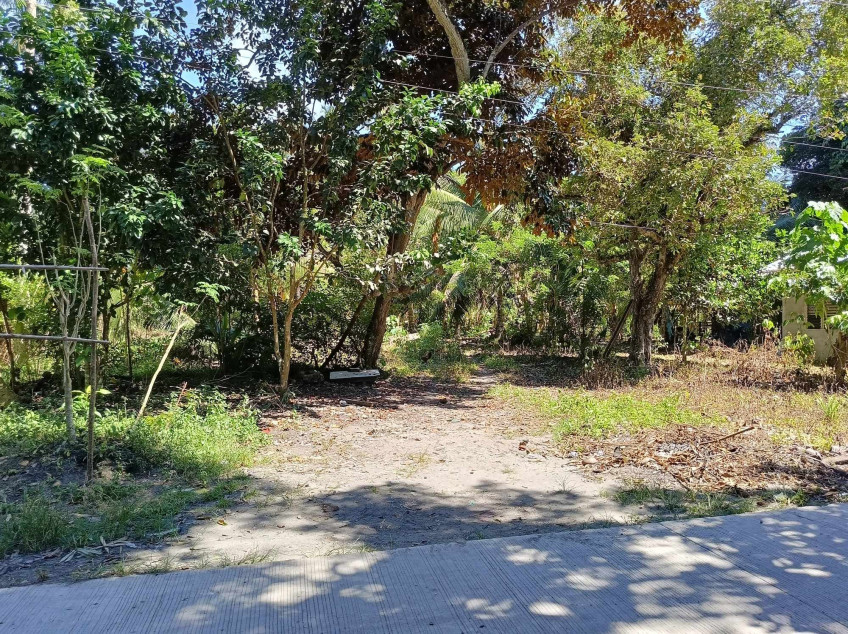 1000 SQM Lot For Sale In Samal Island