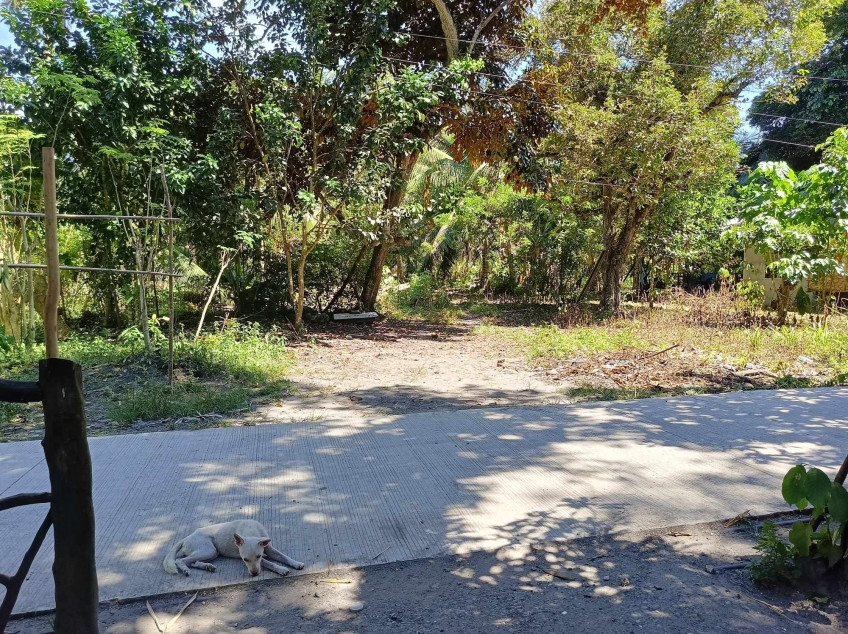 1000 SQM Lot For Sale In Samal Island