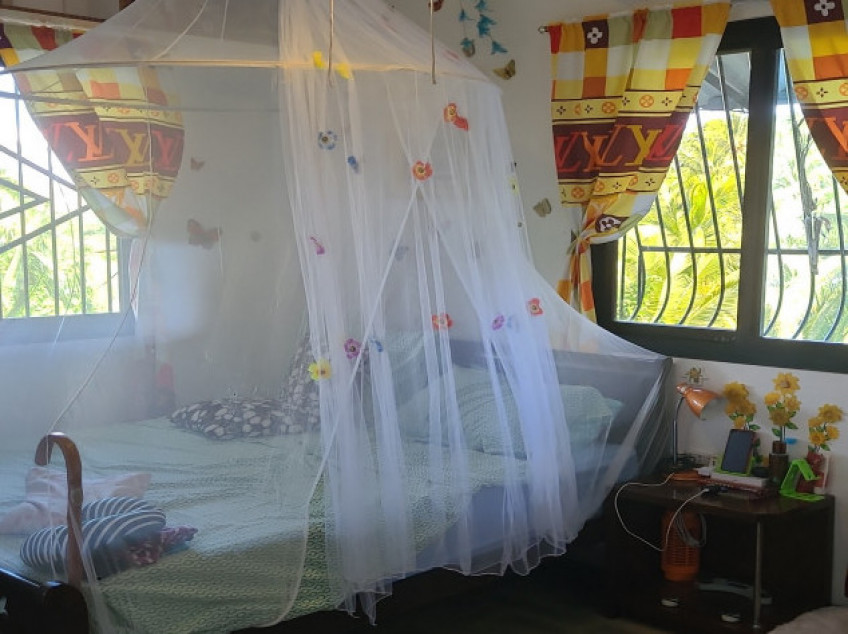 4 Bedrooms Villas With Seaview In Puerto Galera