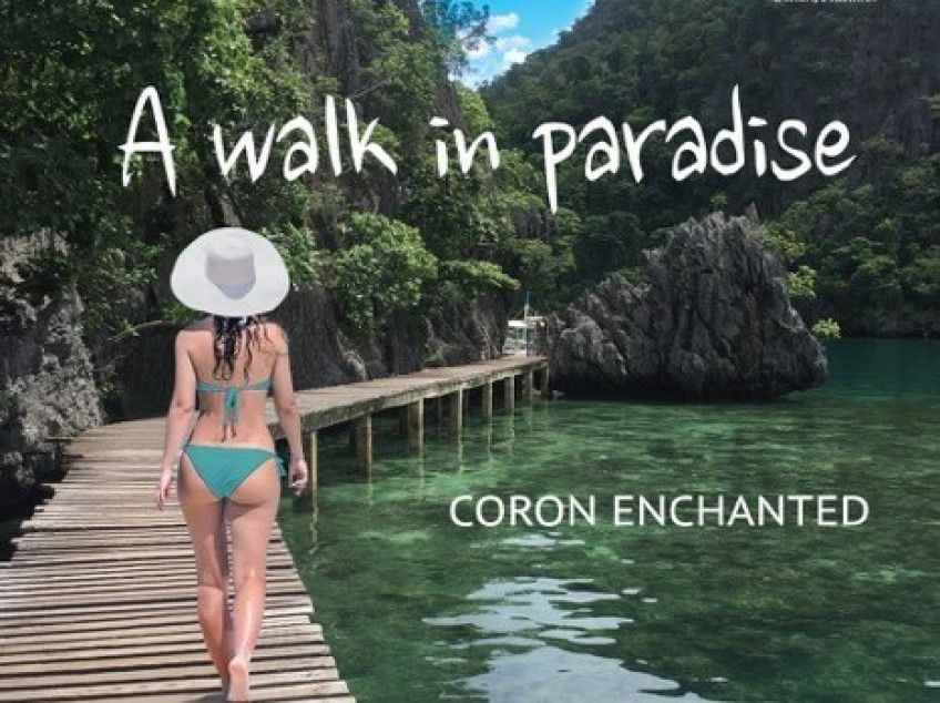 Lot For Sale In Coron, Palawan