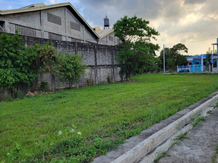 Lot For Sale❗ Glenrose Subd. Bignay Valenzuela city