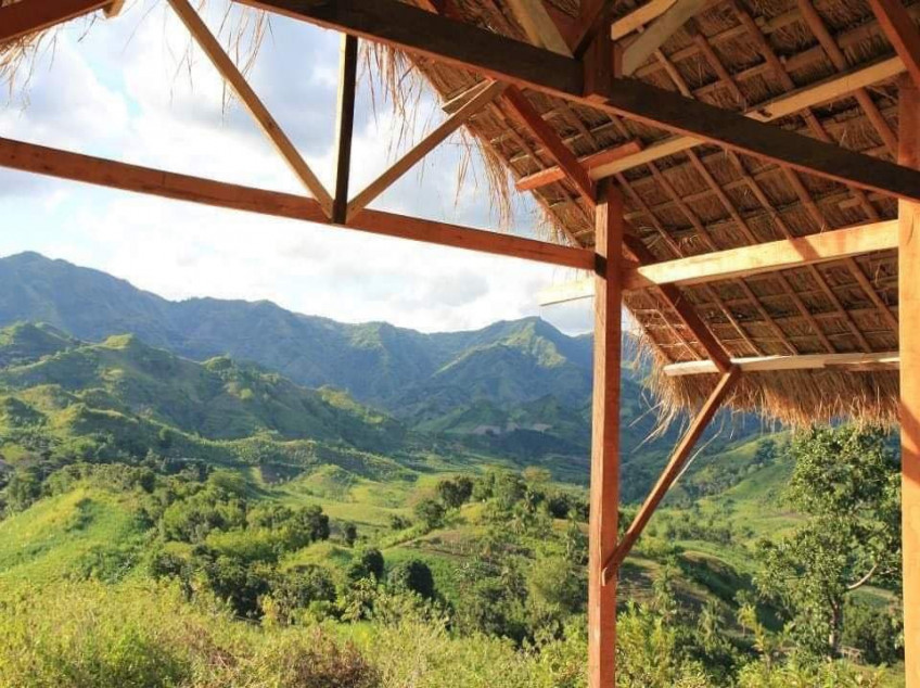 Clean Title Agricultural Land Right Beside Highway Road (San Carlos, Negros Occidental)