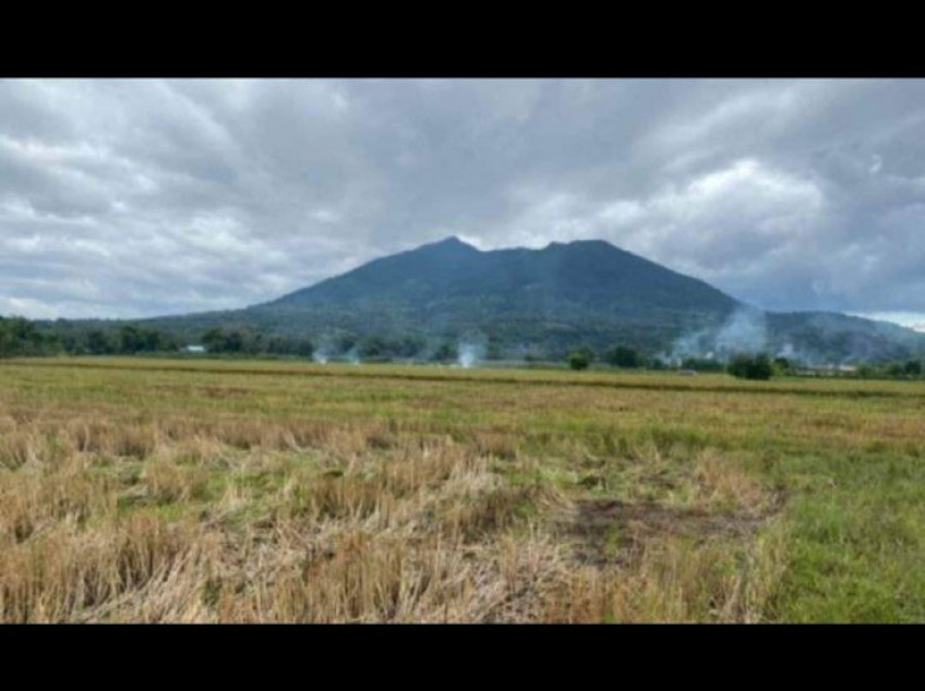 18738 SQM OF Lots For Sale In Arayat, Pampanga