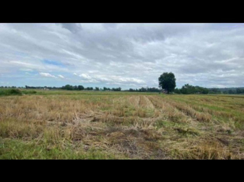 18738 SQM OF Lots For Sale In Arayat, Pampanga