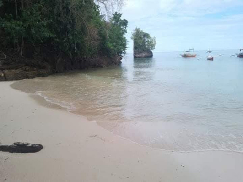 4Hectare Beach Front Property For Sale With Trees And White Sand In