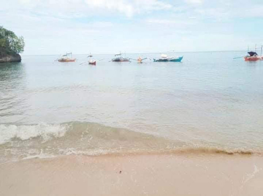 4Hectare Beach Front Property For Sale With Trees And White Sand In