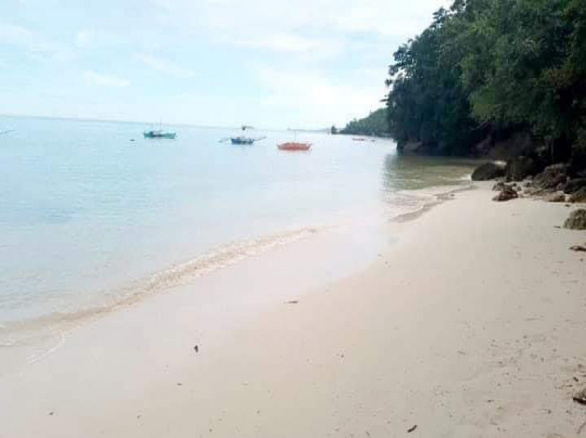 4Hectare Beach Front Property For Sale With Trees And White Sand In