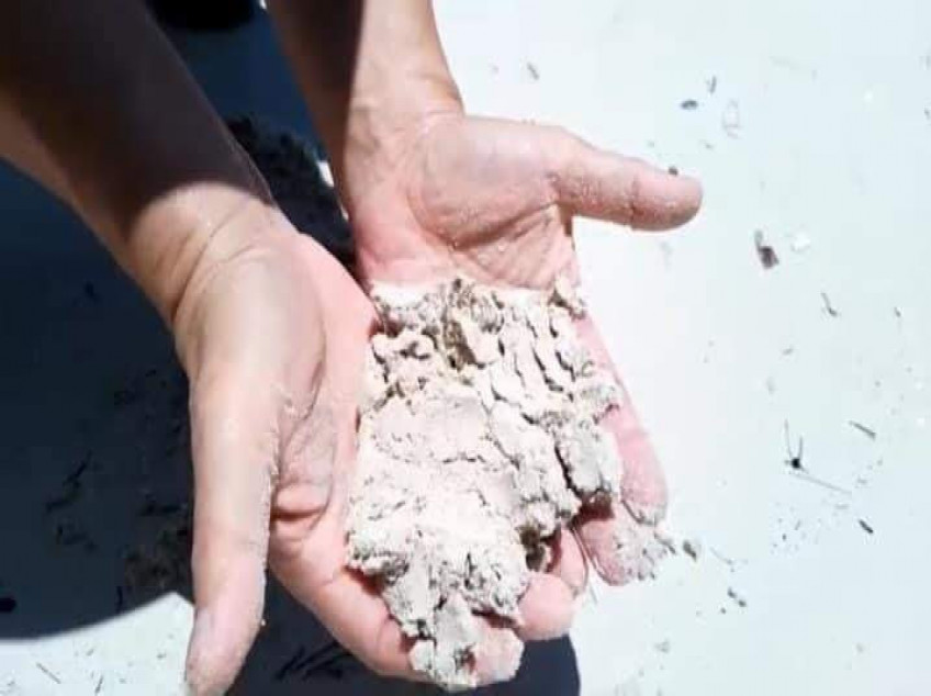 4Hectare Beach Front Property For Sale With Trees And White Sand In Sipalay, Negros Occidental