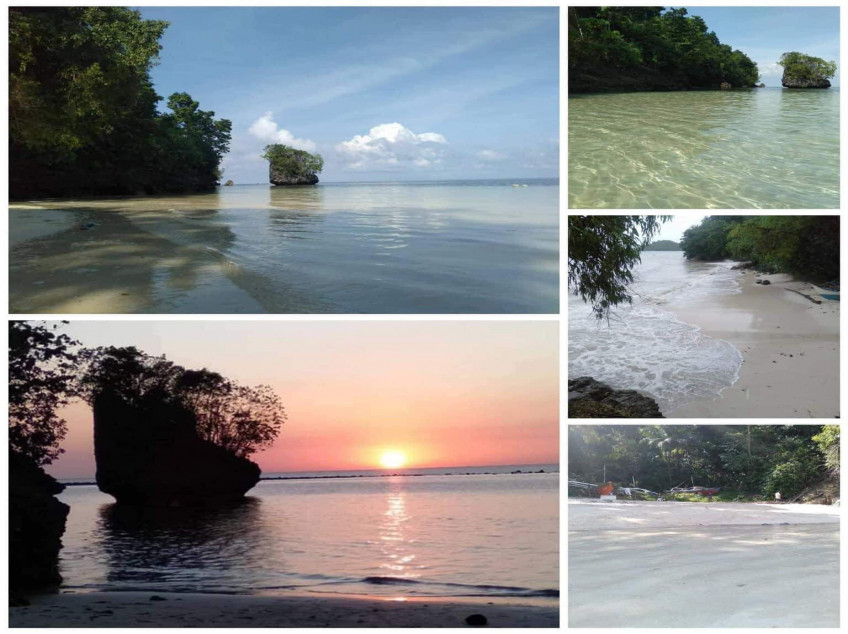 4Hectare Beach Front Property For Sale With Trees And White Sand In