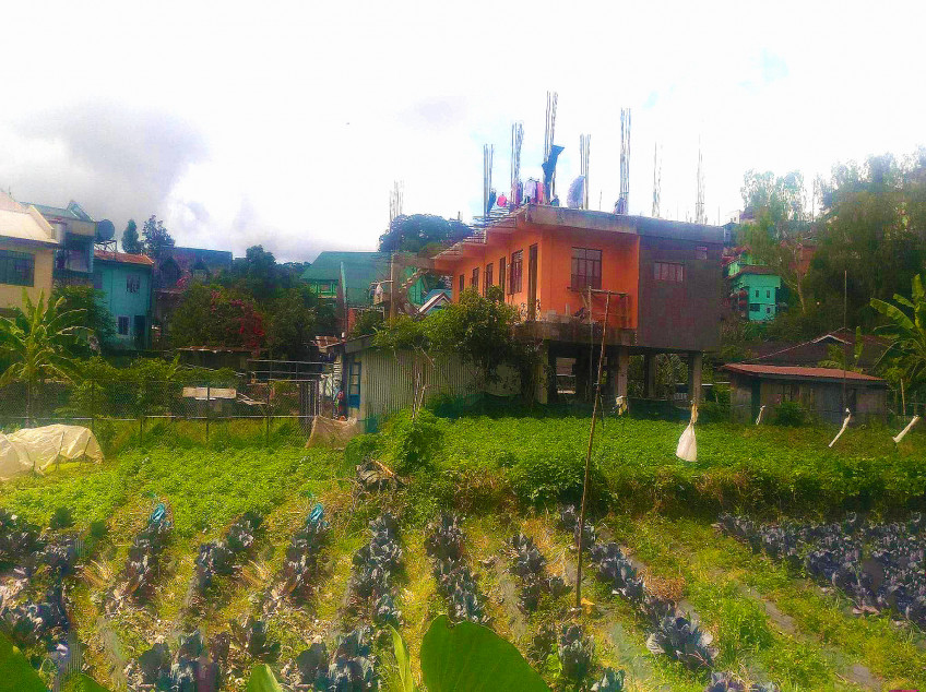 350 SQM Residential Farm Land For Sale in Baguio City