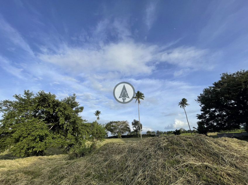 Montecito Nuvali By Ayala Land Premier Prime Residential Lot For Sale