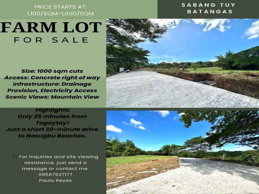 Batangas Farm Lot For Sale