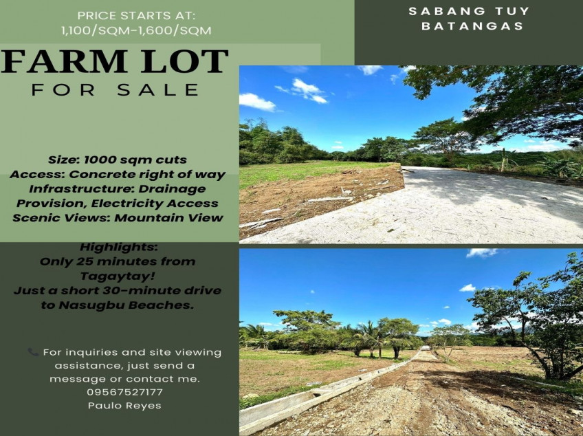 Batangas Farm Lot For Sale