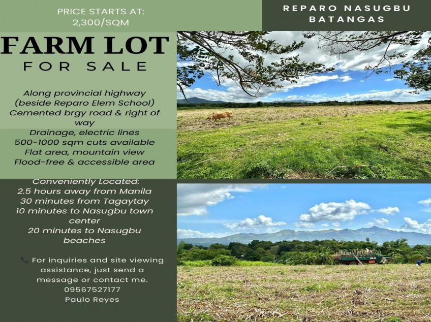 Land For Sale In Brgy. Reparo Nasugbu, Batangas