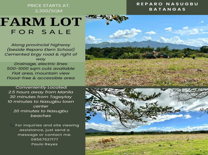 Land For Sale In Brgy. Reparo Nasugbu, Batangas