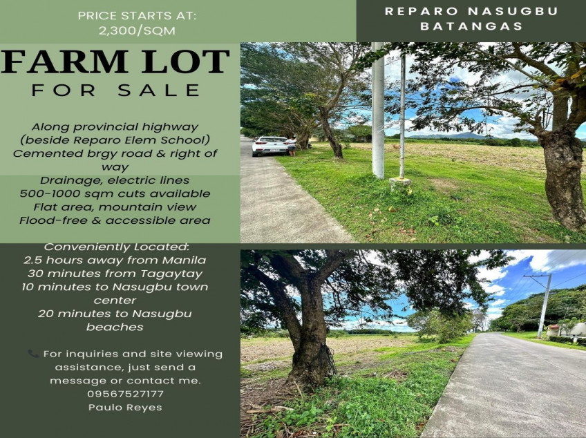 Land For Sale In Brgy. Reparo Nasugbu, Batangas