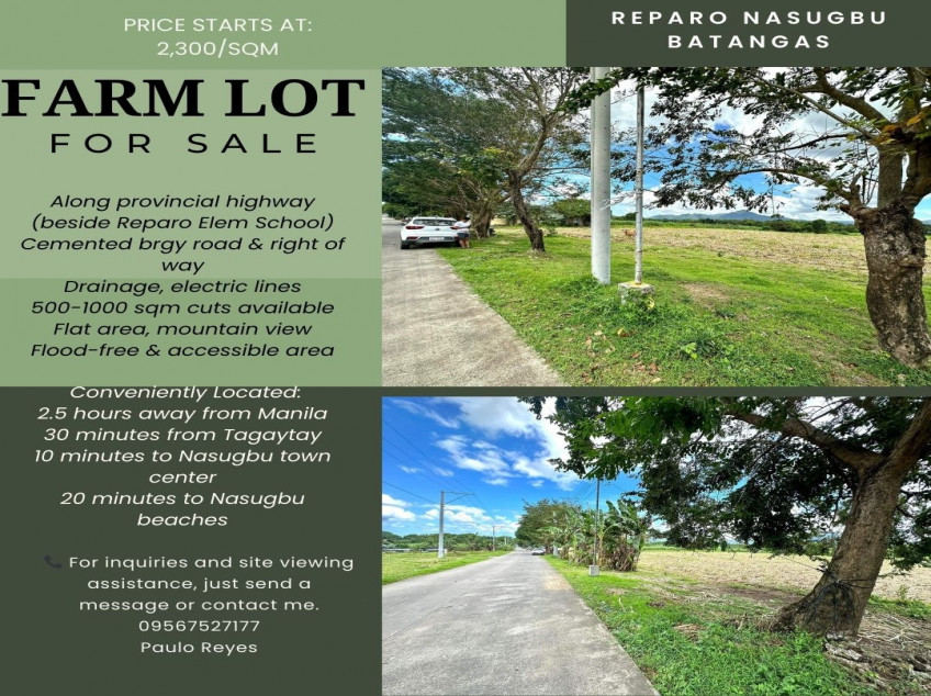 Land For Sale In Brgy. Reparo Nasugbu, Batangas