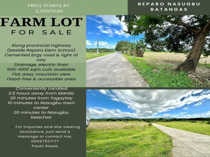 Land For Sale In Brgy. Reparo Nasugbu, Batangas