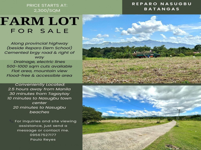 Land For Sale In Brgy. Reparo Nasugbu, Batangas