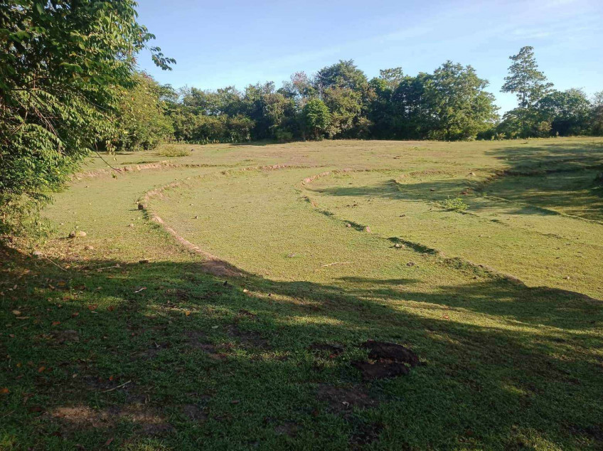 Rush Sale: 4 Hectare Agricultural Farm Land for Sale in Sta. Ignacia Tarlac