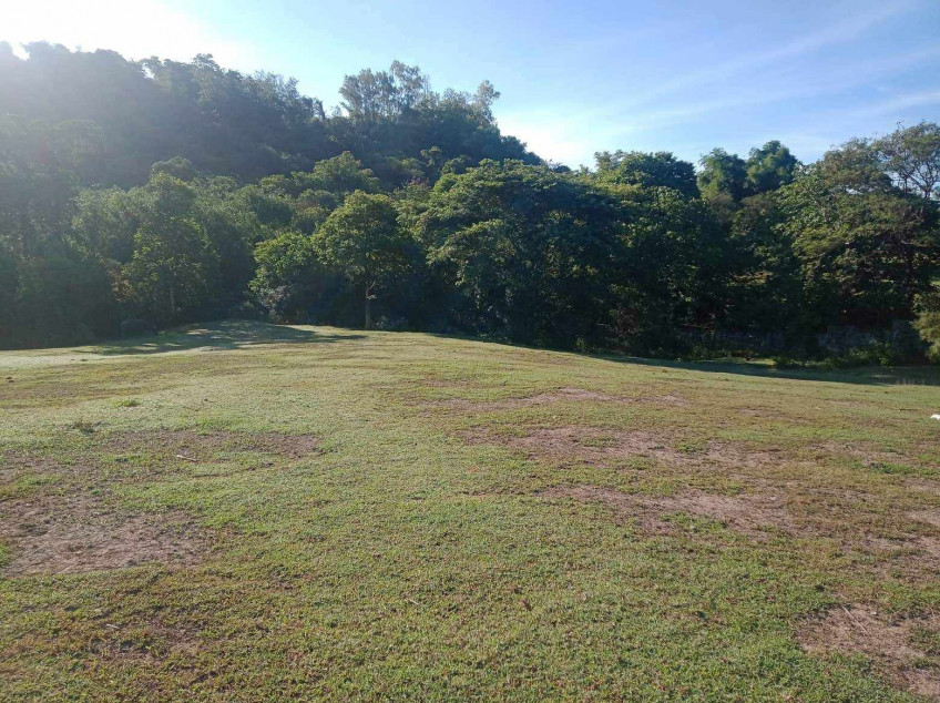 Rush Sale: 4 Hectare Agricultural Farm Land for Sale in Sta. Ignacia Tarlac