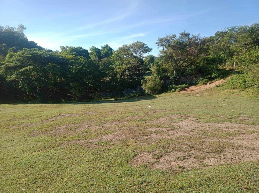 Rush Sale: 4 Hectare Agricultural Farm Land for Sale in Sta. Ignacia Tarlac