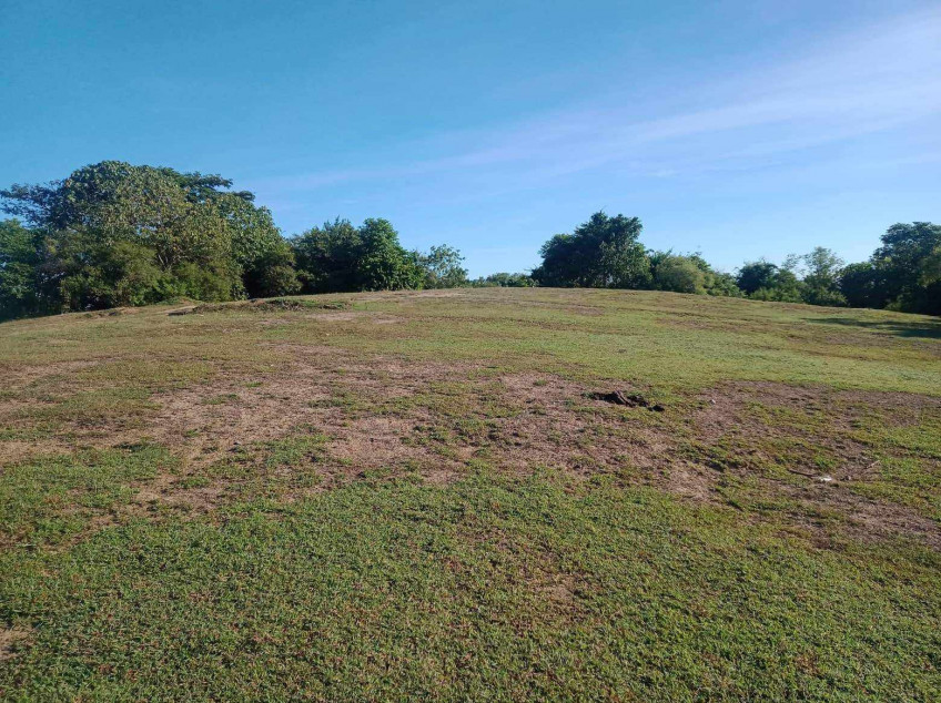 Rush Sale: 4 Hectare Agricultural Farm Land for Sale in Sta. Ignacia Tarlac