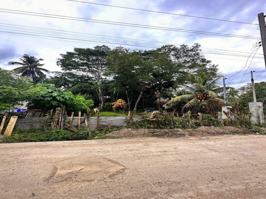 Agricultural Land 4,432 SQM More Or Less, With Fruit Trees In Indangan, Davao City