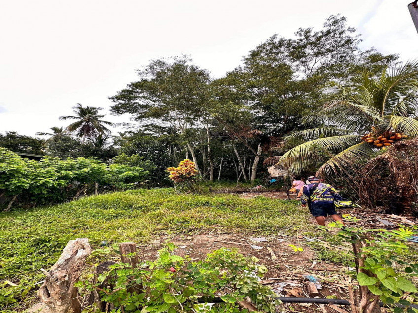 Agricultural Land 4,432 SQM More Or Less, With Fruit Trees In Indangan, Davao City