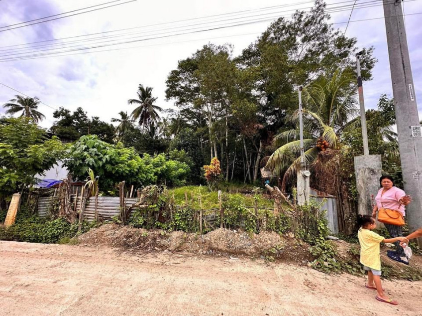 Agricultural Land 4,432 SQM More Or Less, With Fruit Trees In Indangan, Davao City