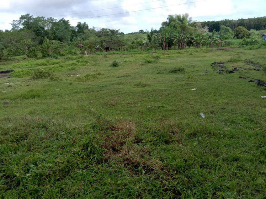 2,000 SQM Residential Lot for Sale In Negros Occidental! Negotiable!