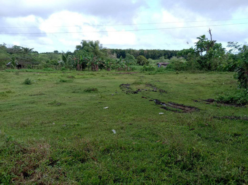 2,000 SQM Residential Lot for Sale In Negros Occidental! Negotiable!