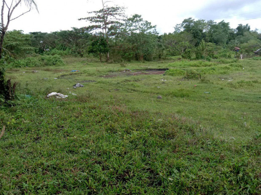 2,000 SQM Residential Lot for Sale In Negros Occidental! Negotiable!