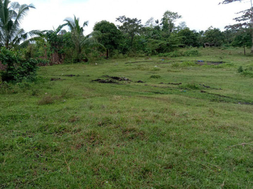 2,000 SQM Residential Lot for Sale In Negros Occidental! Negotiable!