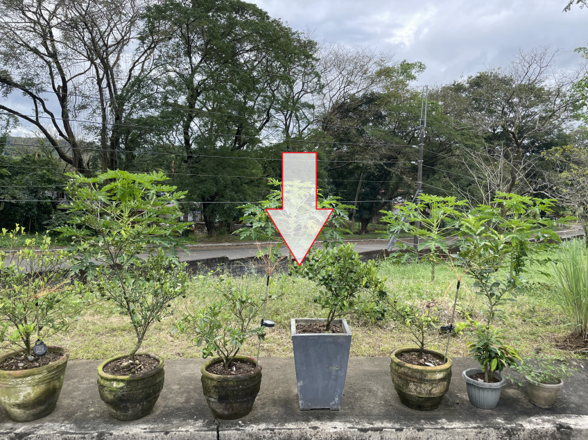 For Sale Residential Lot In Colinas Verdes, Bulacan