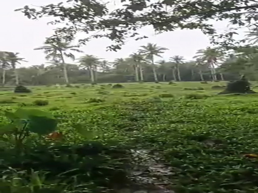 120-Hectares Lot For Sale In Barugo, Leyte