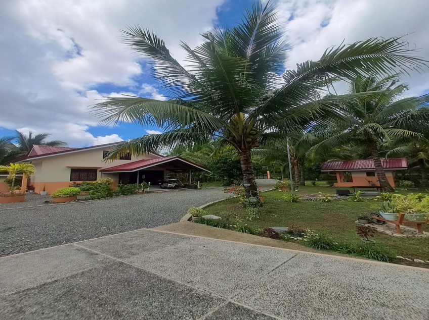 1.16-Hectare Land (Ideal For Inland Resort With Café And Restaurants)