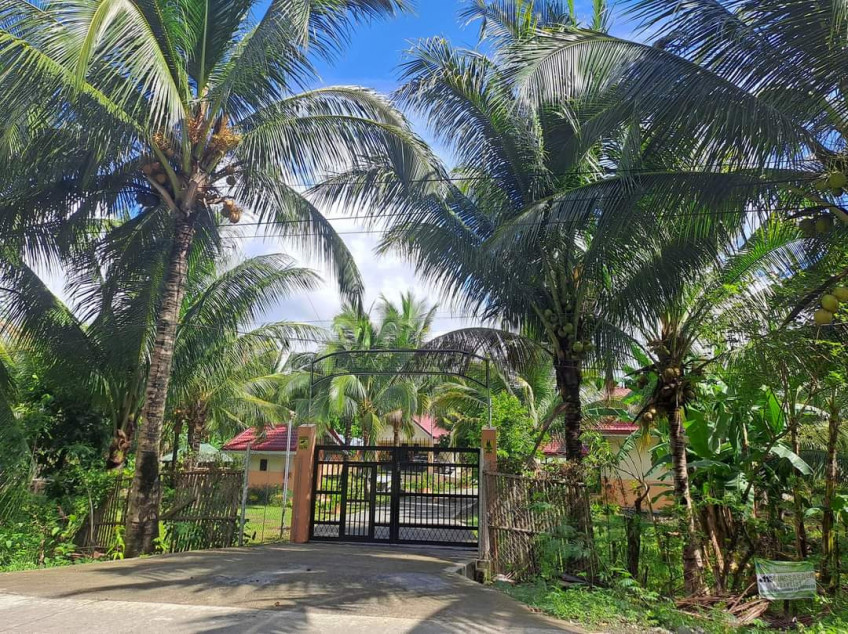 1.16-Hectare Land (Ideal For Inland Resort With Café And Restaurants)