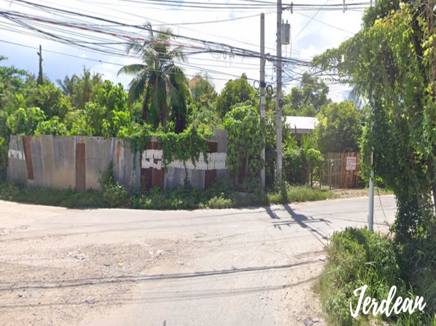 1077 SQM Corner Lot Light Industrial For Sale With Structure In Tayud, Lilo-an, Cebu