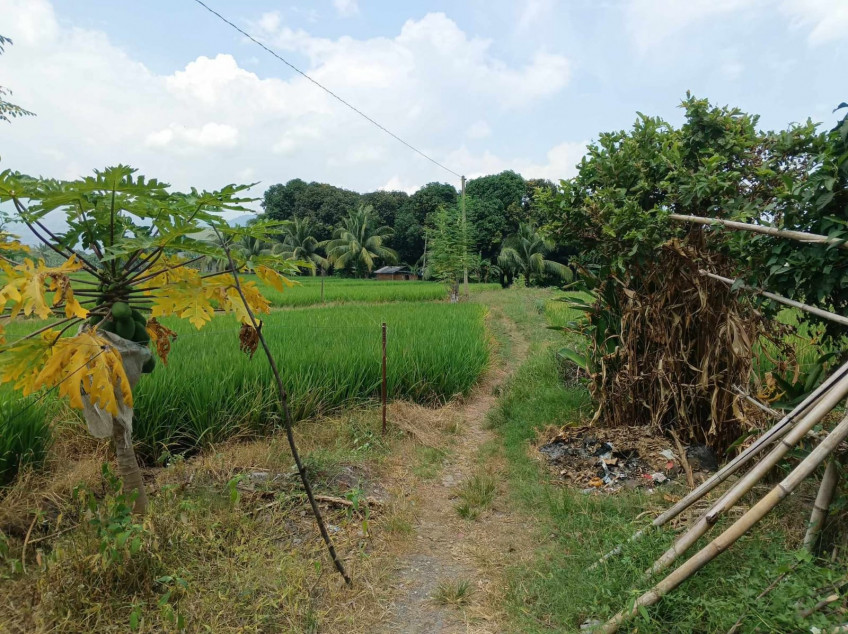 4-Hectare Land Beside National Highway Of Digos City Barangay Matti